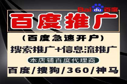 某电商平台的SEM推广策略分析
